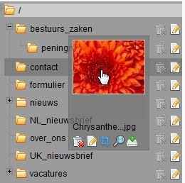 bestand verplaatsen